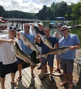 Bass fishing in Smith Mountain Lake