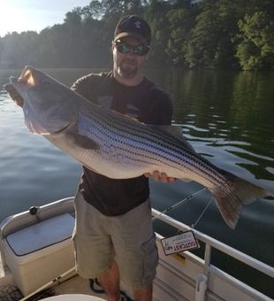 Trophy Striped Bass in Smith Mountain Lake