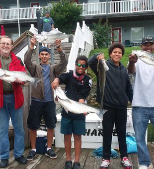 Stripers in Smith Mountain Lake