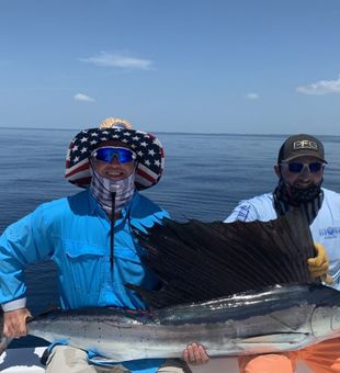 Bold sailfish catch on offshore fishing charter