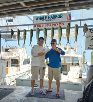Deep blue waters, screaming reels, and world-class big game fishing in Islamorada, Florida.