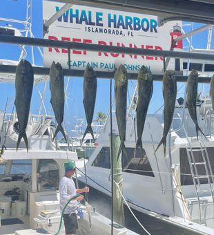 Premier Islamoda Fishing Charters!