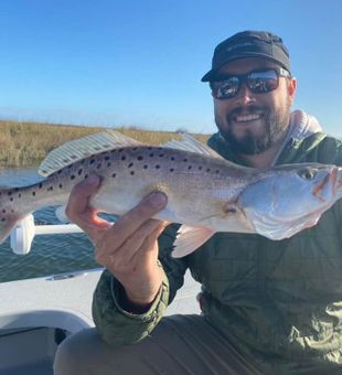 Spotted Seatrout from Georgetown River