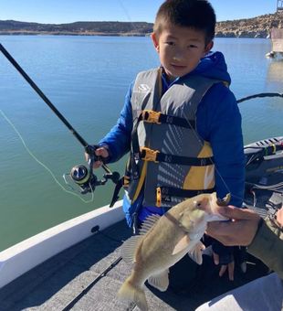 Child Friendly Fishing Charter in Colorado
