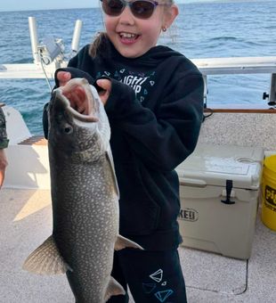 Nice Lake Superior lake trout from Knife River!