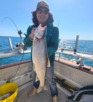 Beautiful Lake Trout from Knife River MN waters!