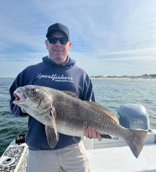 Pensacola Beach fishing Black Drum Trophy!Book now