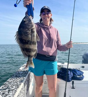 Pensacola Beach fishing charters Sheepshead catch!