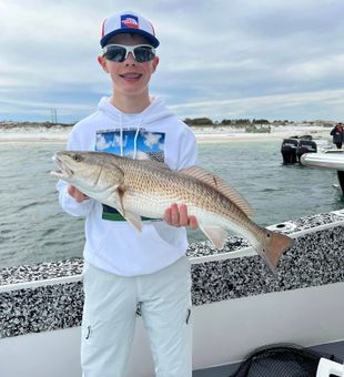 Pensacola Beach fishing charters Red Drum Trophy!