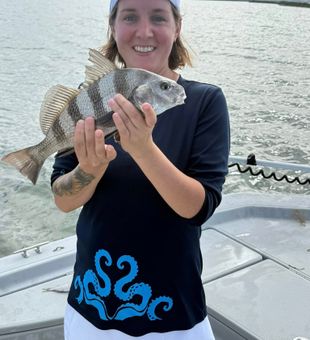Nice Sheepshead catch in Port Aransas
