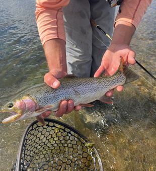 Fly fishing guides Colorado