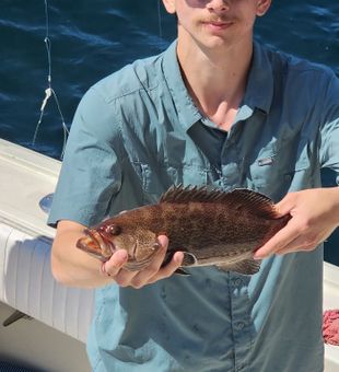 Solid Gulf Shores Grouper catch!