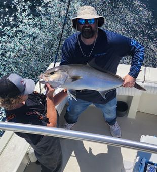 Powerful Gulf Shores Amberjack catch!