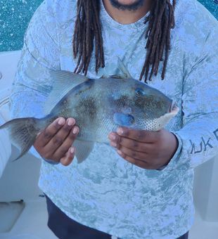 Make your Gulf Shores vacation even better with a professionally guided inshore fishing trip on the Gulf Coast.