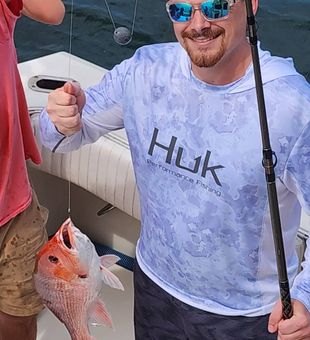 Massive catch at Fort Morgan AL.