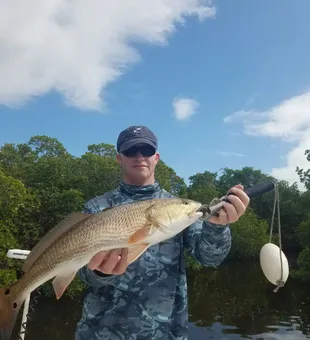 Drifted and hooked a monster redfish
