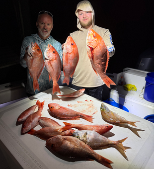 Outstanding red snapper and red porgy haul from Fort Morgan!