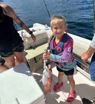 Beaming snapper catch by happy young angler!