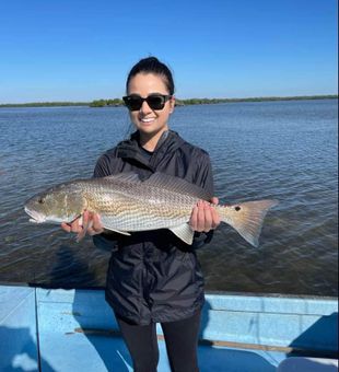 Fishing the tide shift