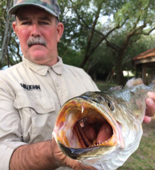 Reeling in the big ones with Captain Grayson.