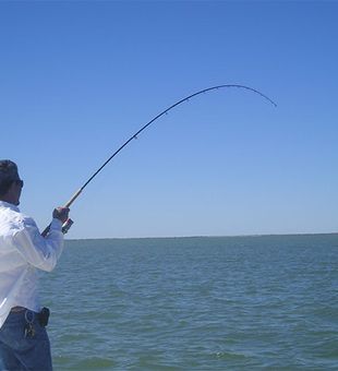 Fish On! - Rancho Viejo, TX.