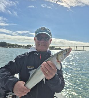 Fresh snook catch on inshore fishing trip