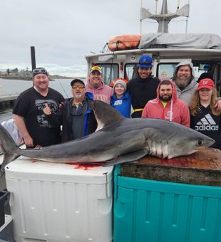 Shark Fishing from New Hampshire!