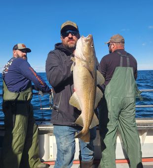 Nice Atlantic cod from Rye NH waters!