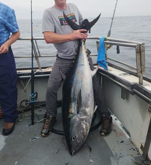 Harbor views & big yellowfin tuna fish! 