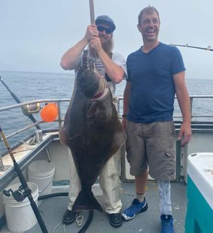 Halibut Fish from Fishing paradise in NH!