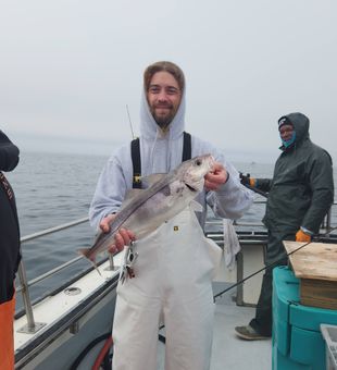 Nice haddock from Rye NH waters!