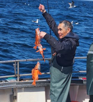 Vermilion rockfish success in Rye NH waters!