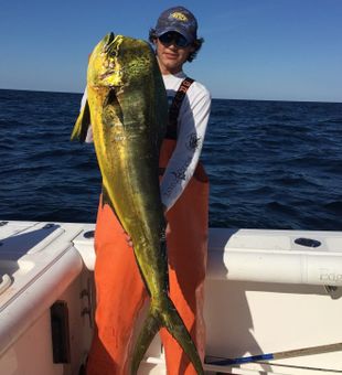 Mahi Mahi Trophy in Massachusetts Fishing Trips