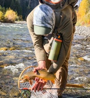 Trout Fishing near Dubois, WY
