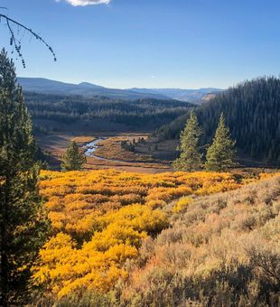 Stunning Fishing View In Wyoming 