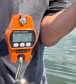 Weighing the catch with precision in Glencoe!