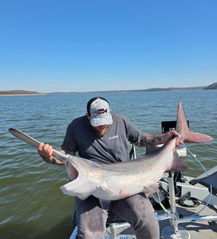 Big spoonbill from Keystone Lake makes for great fishing!