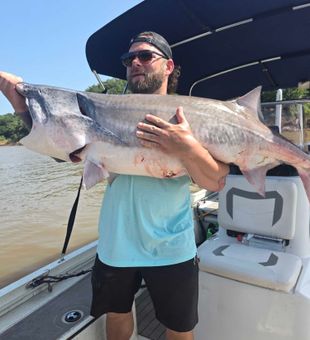 Monster catfish from Glencoe OK waters!