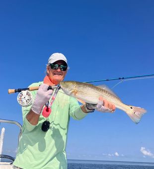 Calm tide, big redfish strikes
