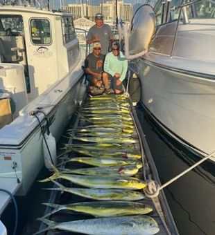 Explore San Diego's Fishing Charters