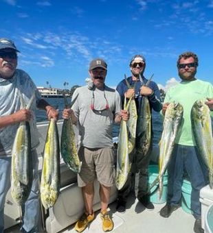 Premier Deep Sea Fishing Charter, Mahi-mahi Run