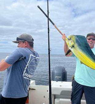 San Diego Bay Fishing Mahi-mahi