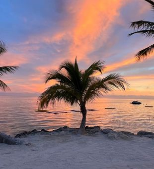 Islamorada Orange Beach