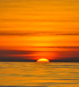 Outer Banks fishing charters – a reel thrill