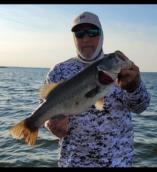 Lunker alert! Largemouth bass heaven at Lake Fork