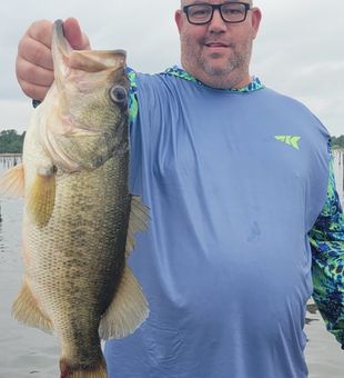 Hook, line, and sinker at Lake Fork's bass haven
