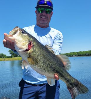 Reel in the big ones at Lake Fork's bass hotspot 