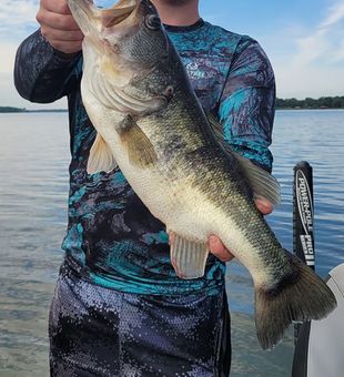 Experience bass fishing at its best on Lake Fork