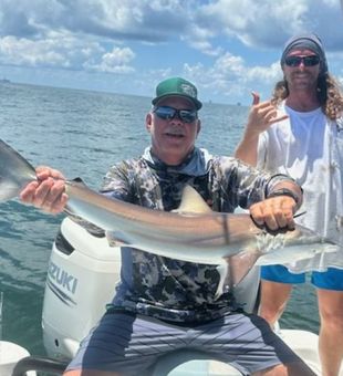 This amazing Blacktip Shark made my day!