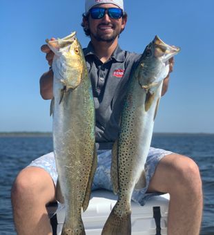 Trout fishing in Steinhatchee	